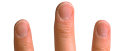 nail (of finger or toe)